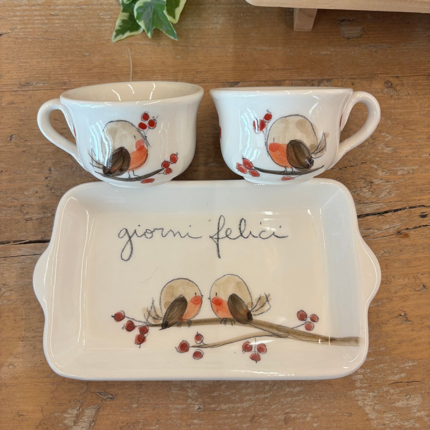 Tête-à-tête uccellini